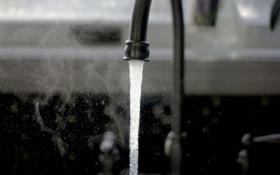 Everything but the Kitchen Sink