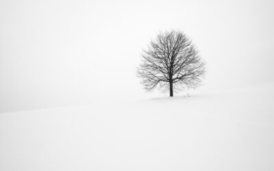 The Roots of Our Faith